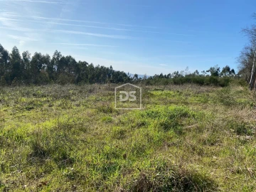 Terreno Agricola ou Rústico para Venda em Macieira da Lixa e Caramos