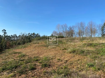 Terreno Agricola ou Rústico para Venda em Macieira da Lixa e Caramos