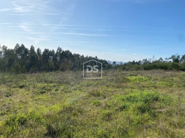 Terreno Agricola ou Rústico para Venda em Macieira da Lixa e Caramos