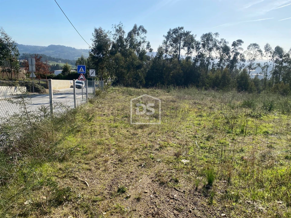 Terreno Agricola ou Rústico para Venda em Macieira da Lixa e Caramos Foto 12