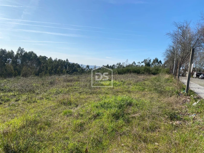 Terreno Agricola ou Rústico para Venda em Macieira da Lixa e Caramos Foto 8