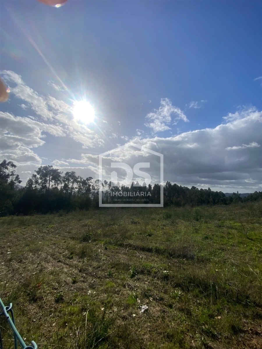 Terreno Agricola ou Rústico para Venda em Macieira da Lixa e Caramos Foto 2