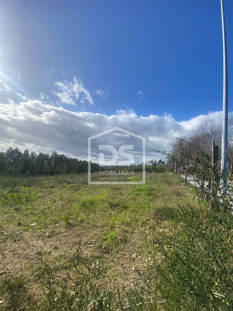 Terreno Agricola ou Rústico para Venda em Macieira da Lixa e Caramos Foto 6