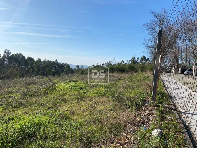 Terreno Agricola ou Rústico para Venda em Macieira da Lixa e Caramos Foto 15