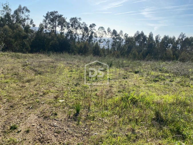 Terreno Agricola ou Rústico para Venda em Macieira da Lixa e Caramos Foto 7