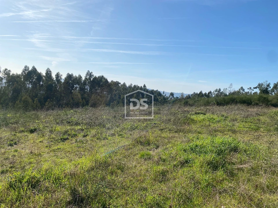 Terreno Agricola ou Rústico para Venda em Macieira da Lixa e Caramos Foto 1
