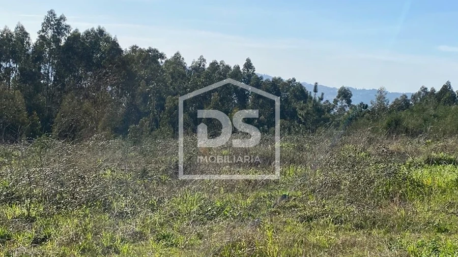 Terreno Agricola ou Rústico para Venda em Macieira da Lixa e Caramos