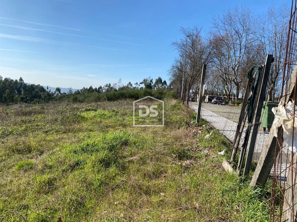 Terreno Agricola ou Rústico para Venda em Macieira da Lixa e Caramos Foto 10