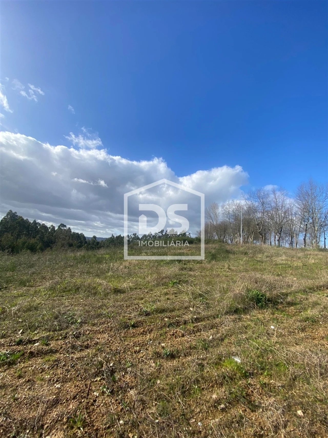 Terreno Agricola ou Rústico para Venda em Macieira da Lixa e Caramos Foto 5