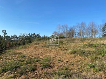Terreno Agricola ou Rústico para Venda em Macieira da Lixa e Caramos