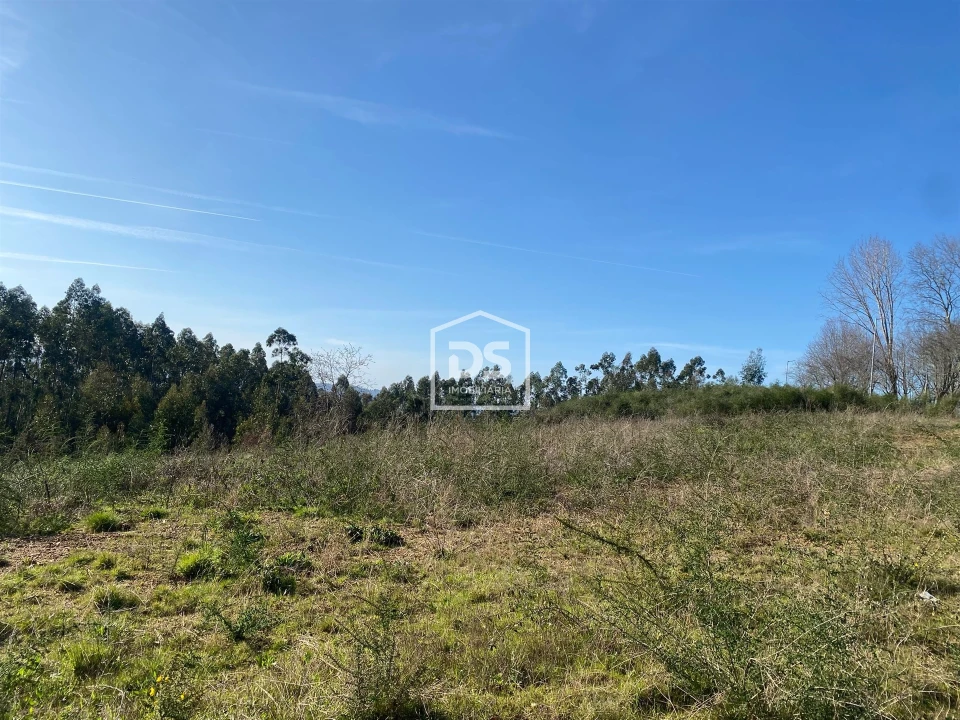 Terreno Agricola ou Rústico para Venda em Macieira da Lixa e Caramos Foto 11
