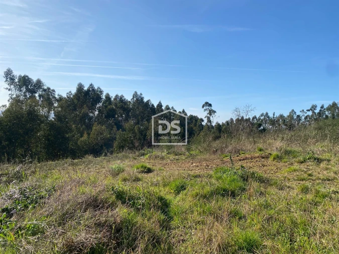 Terreno Agricola ou Rústico para Venda em Macieira da Lixa e Caramos Foto 14