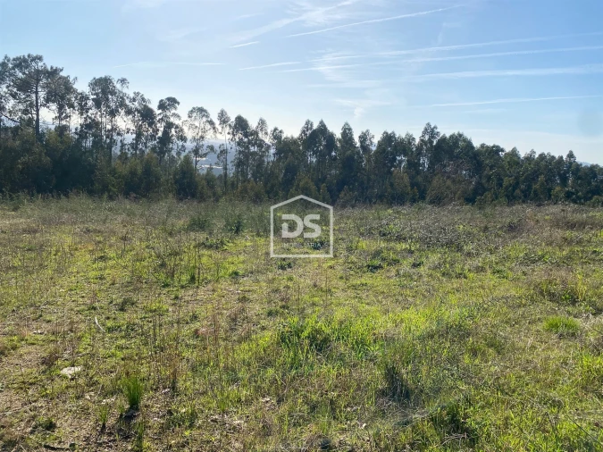 Terreno Agricola ou Rústico para Venda em Macieira da Lixa e Caramos Foto 8