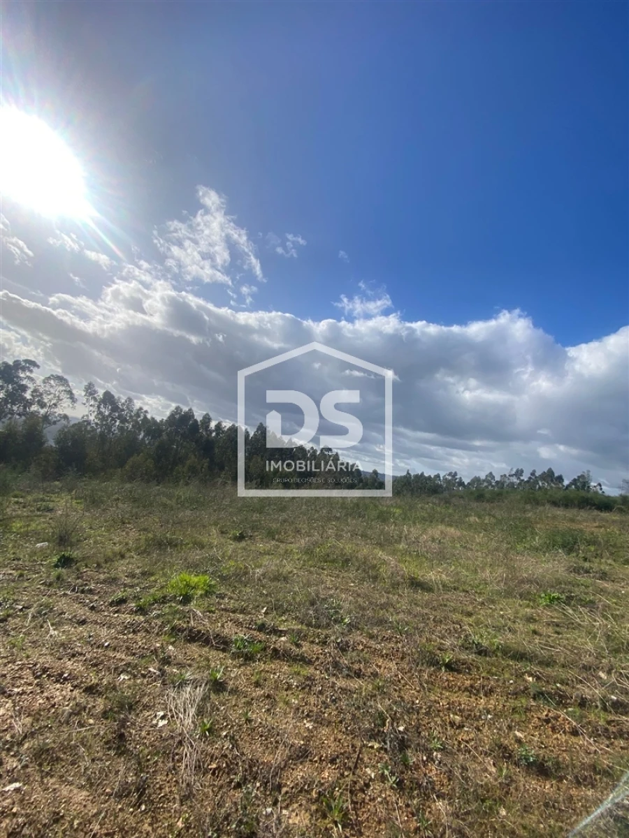 Terreno Agricola ou Rústico para Venda em Macieira da Lixa e Caramos Foto 7