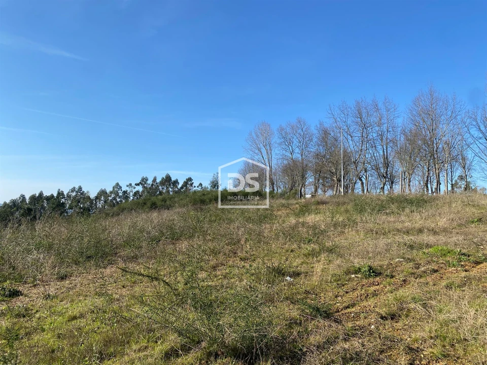 Terreno Agricola ou Rústico para Venda em Macieira da Lixa e Caramos Foto 12