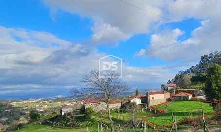Terreno para Venda em Freixo de Cima e de Baixo