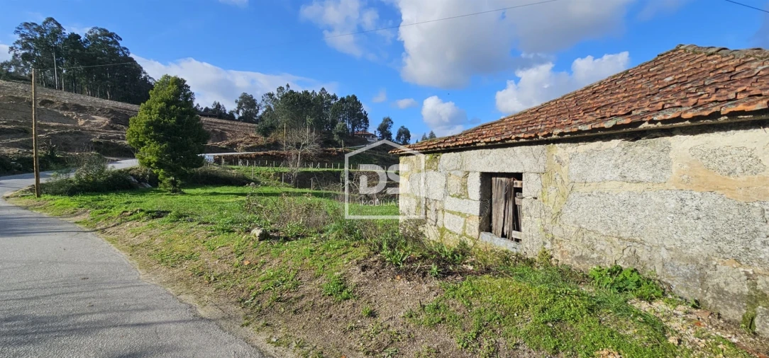 Terreno para Venda em Freixo de Cima e de Baixo Foto 9