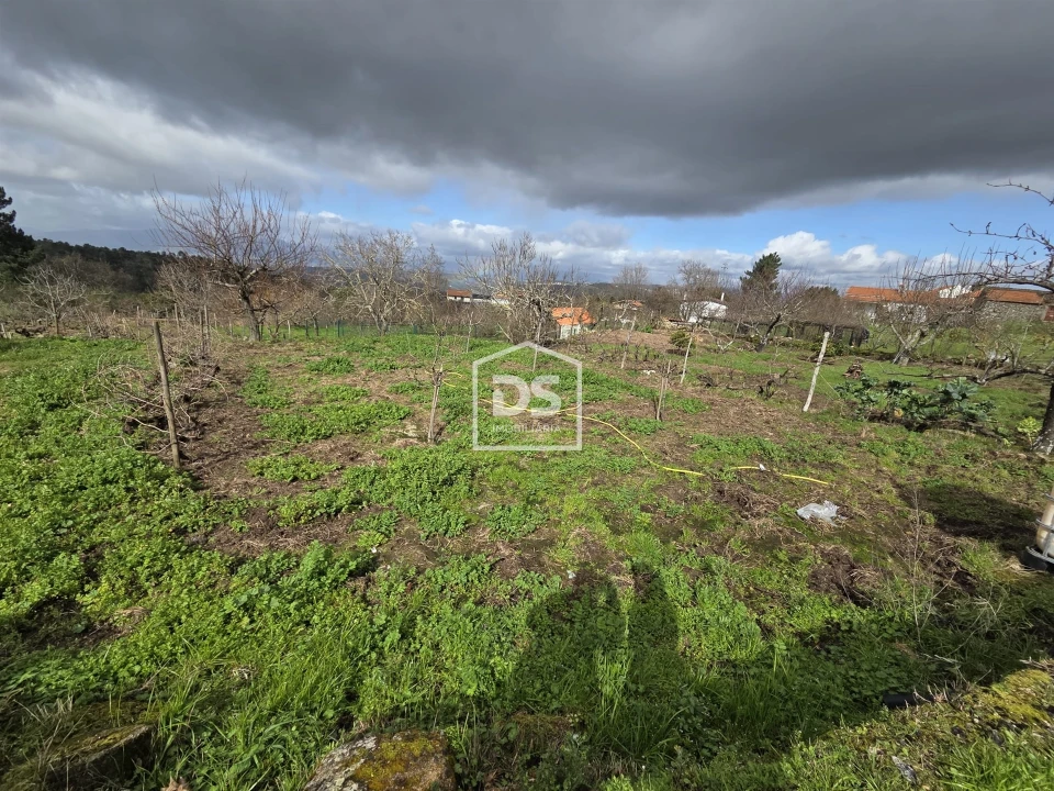 Terreno para Venda em Armamar Foto 5