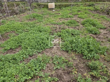 Terreno para Venda em Armamar