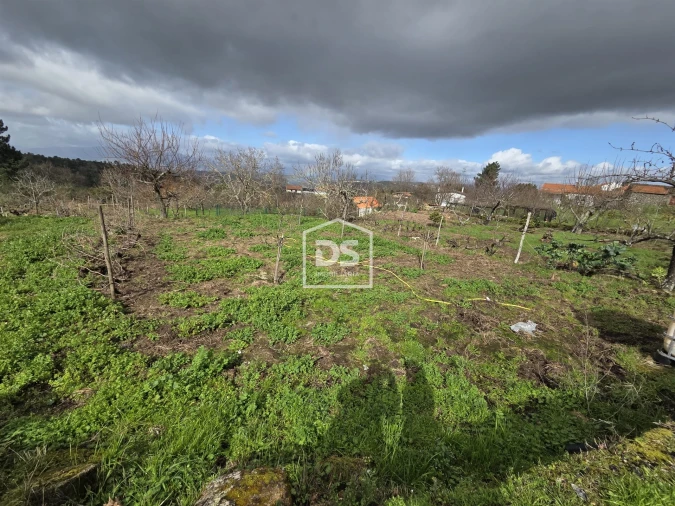 Terreno para Venda em Armamar Foto 5