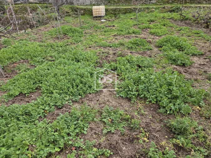 Terreno para Venda em Armamar Foto 6