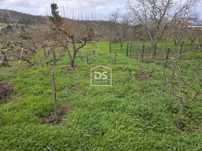 Terreno para Venda em Armamar Foto 7