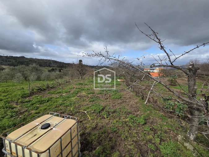 Terreno para Venda em Armamar Foto 2