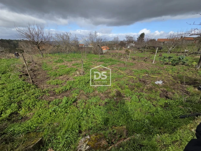 Terreno para Venda em Armamar Foto 3
