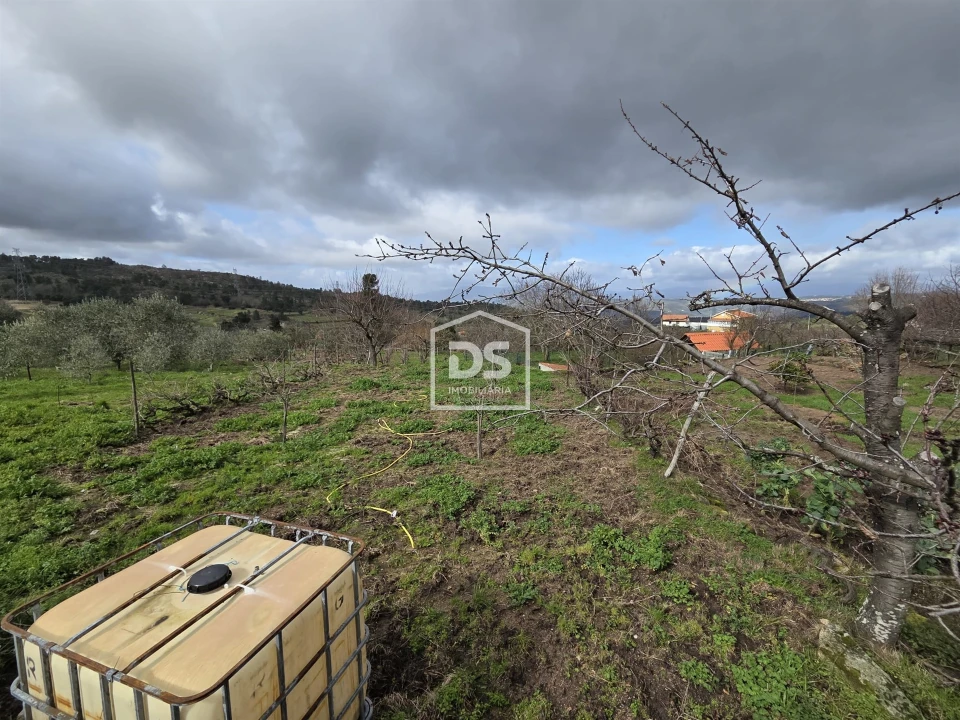 Terreno para Venda em Armamar Foto 2