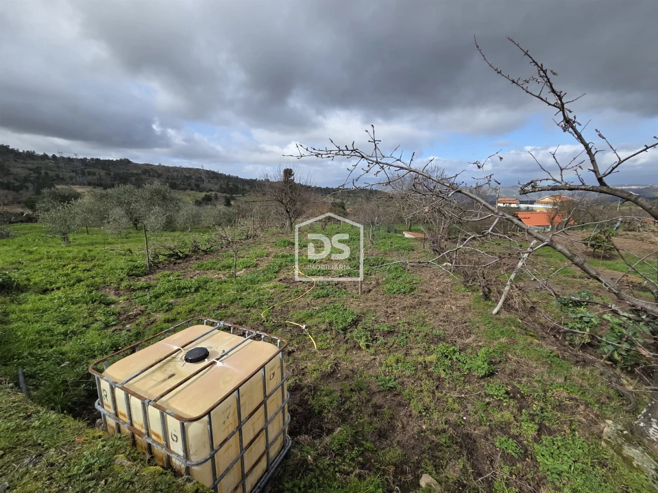 Terreno para Venda em Armamar Foto 4
