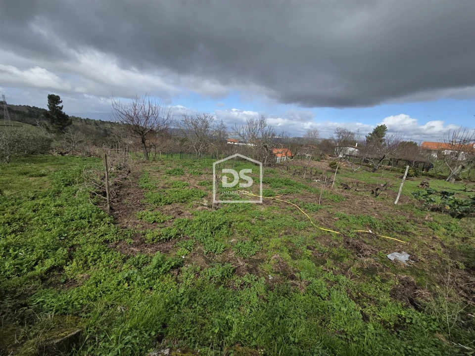 Terreno para Venda em Armamar Foto 1