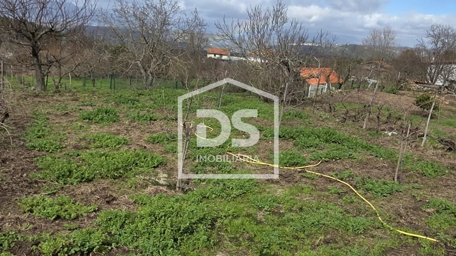 Terreno para Venda em Armamar