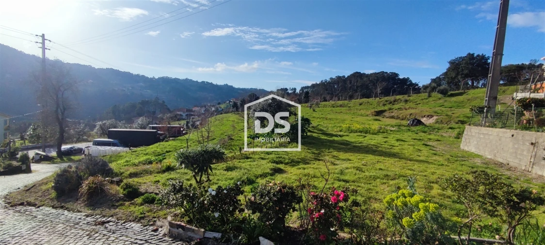Terreno para Venda em Freixo de Cima e de Baixo Foto 3