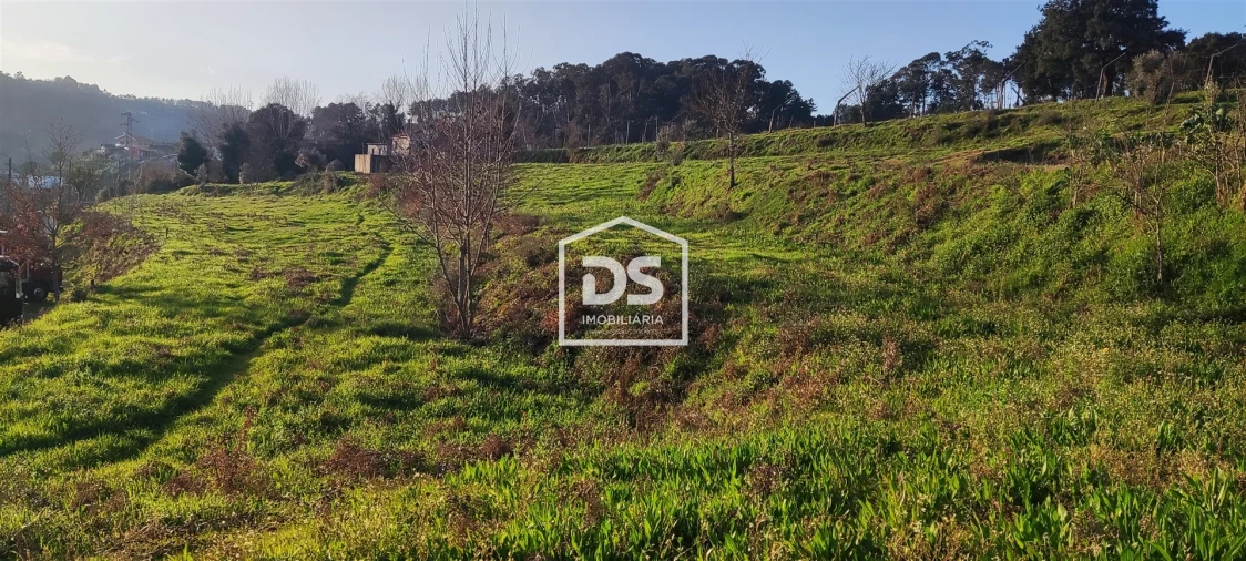 Terreno para Venda em Freixo de Cima e de Baixo Foto 10