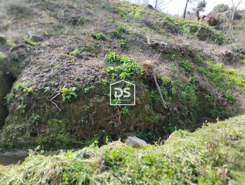 Terreno para Venda em Fregim Foto 31