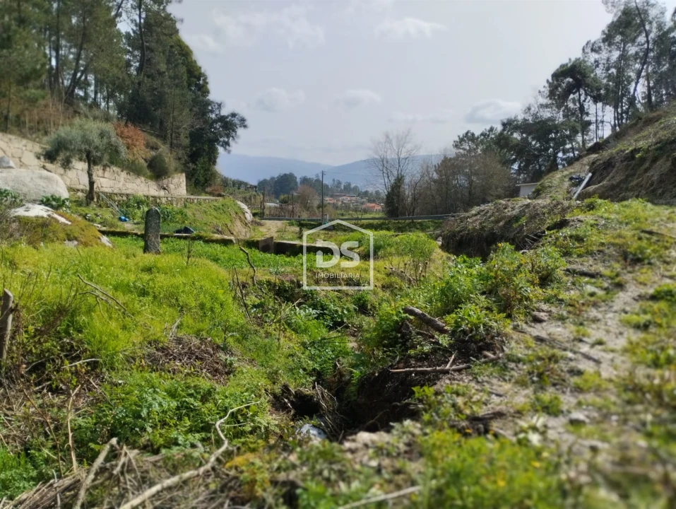 Terreno para Venda em Fregim Foto 16