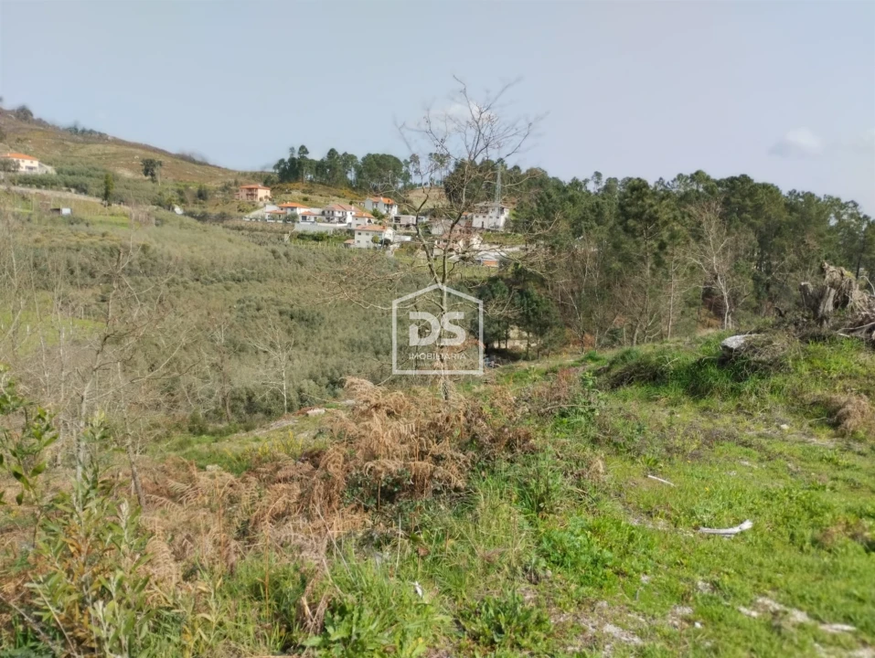 Terreno para Venda em Fregim Foto 6