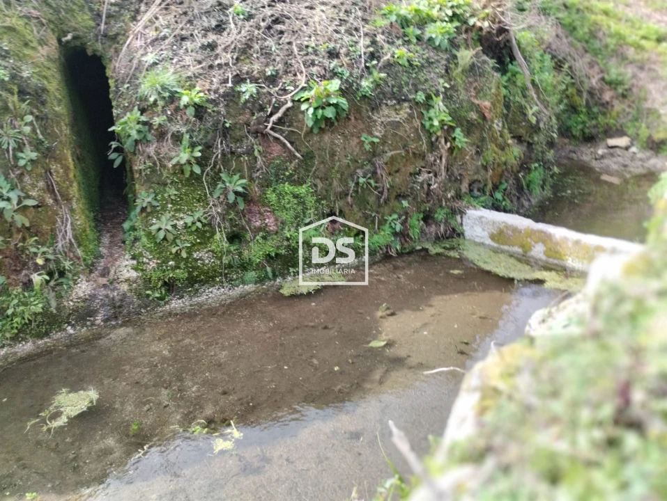 Terreno para Venda em Fregim Foto 34