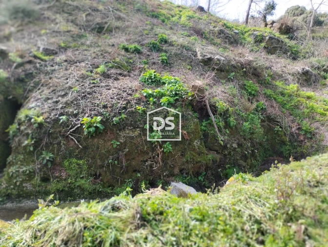 Terreno para Venda em Fregim Foto 31