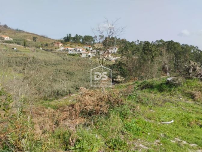 Terreno para Venda em Fregim Foto 6