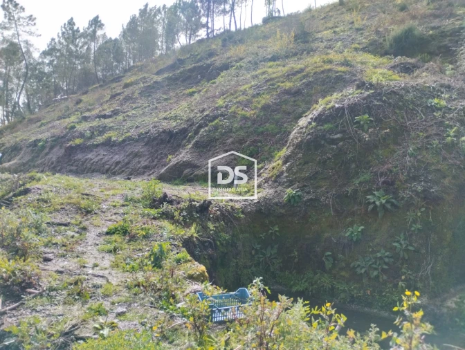 Terreno para Venda em Fregim Foto 24