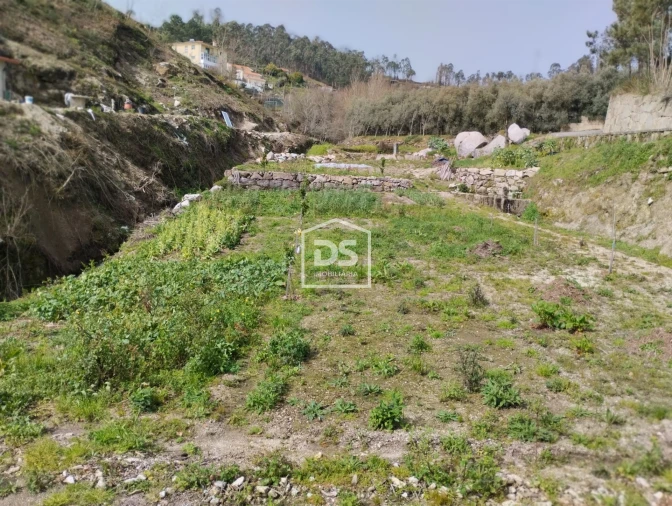 Terreno para Venda em Fregim Foto 14