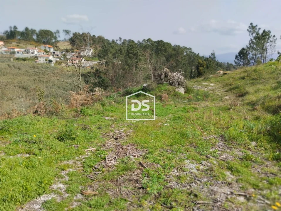Terreno para Venda em Fregim Foto 23