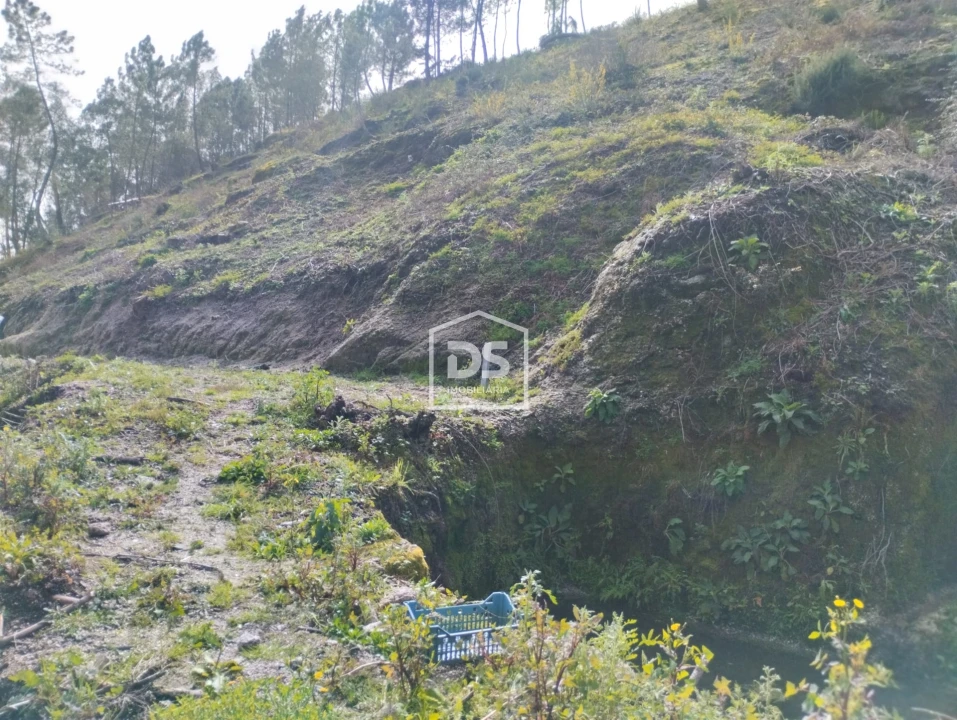 Terreno para Venda em Fregim Foto 13