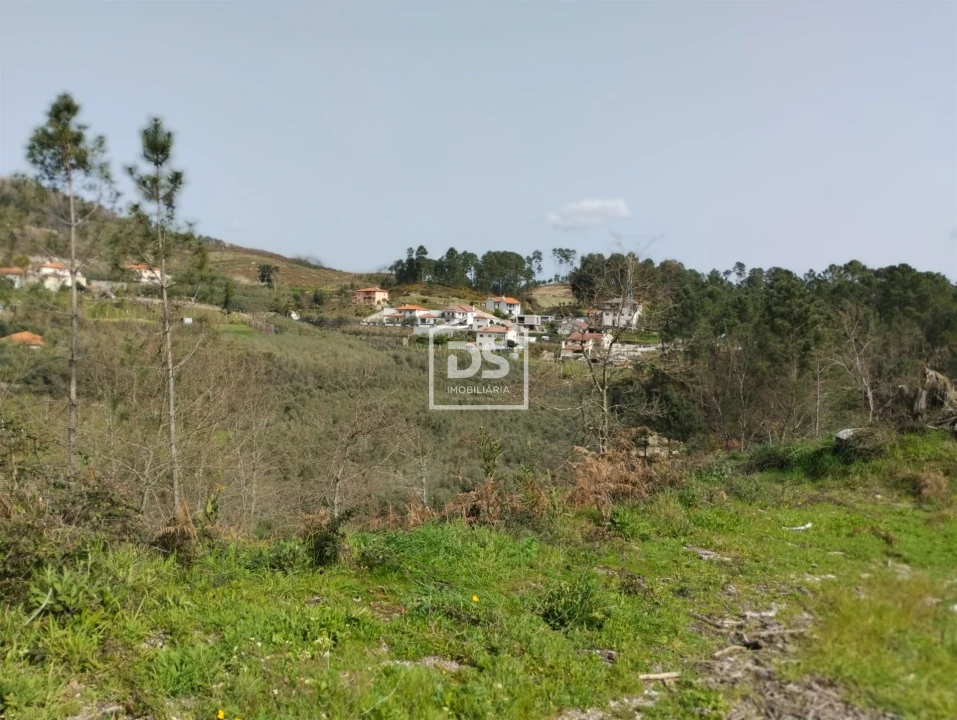 Terreno para Venda em Fregim Foto 5
