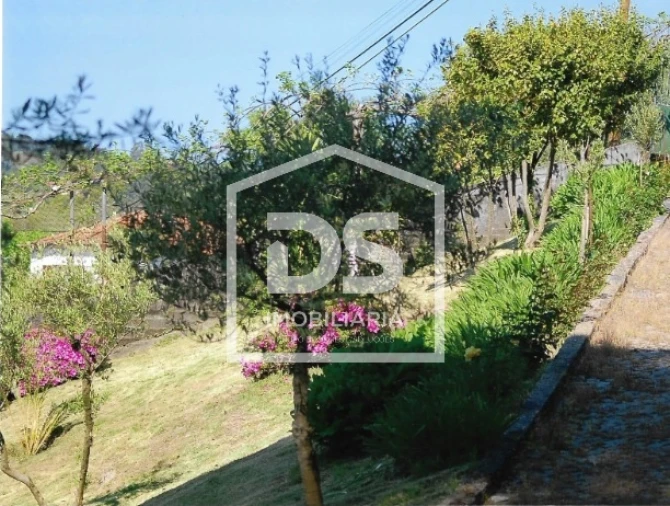 Moradia T3 para Venda em Freixo de Cima e de Baixo Foto 6