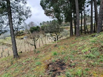 Terreno para Venda em Ferreirim