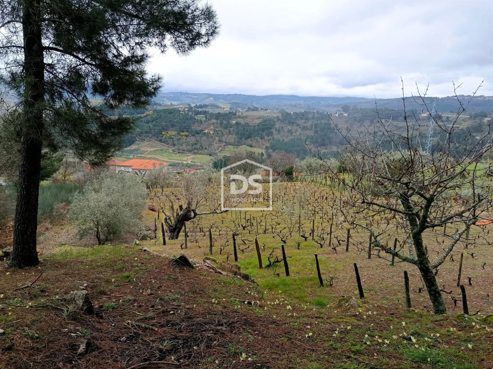 Terreno para Venda em Ferreirim Foto 75