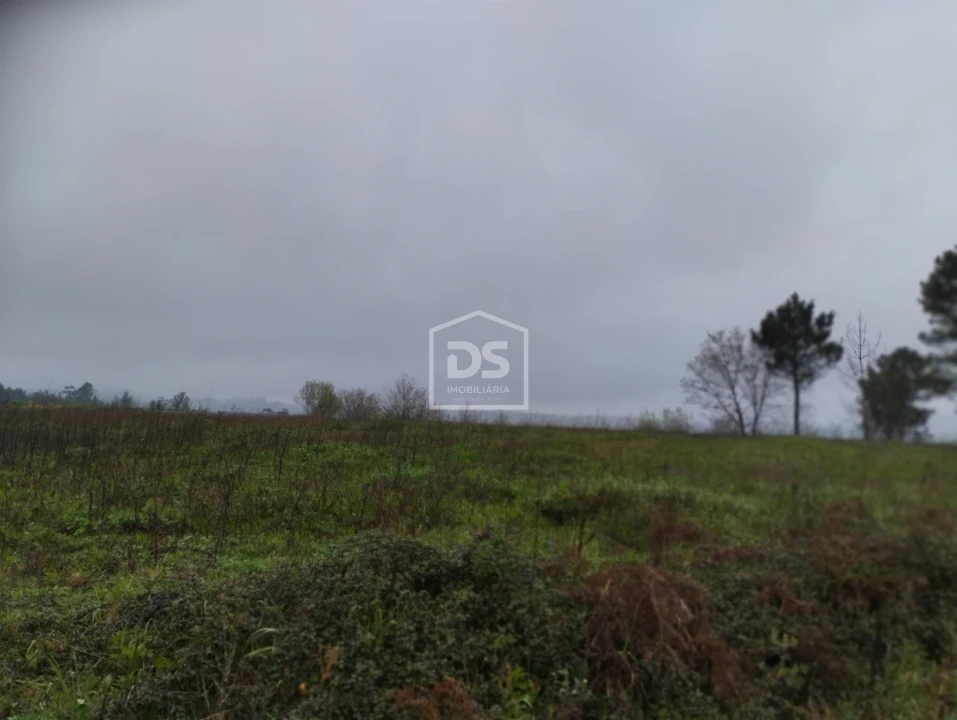 Terreno para Venda em Figueiró (Santiago e Santa Cristina) Foto 9