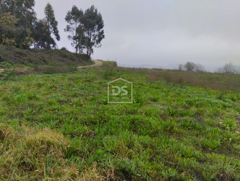 Terreno para Venda em Figueiró (Santiago e Santa Cristina) Foto 3